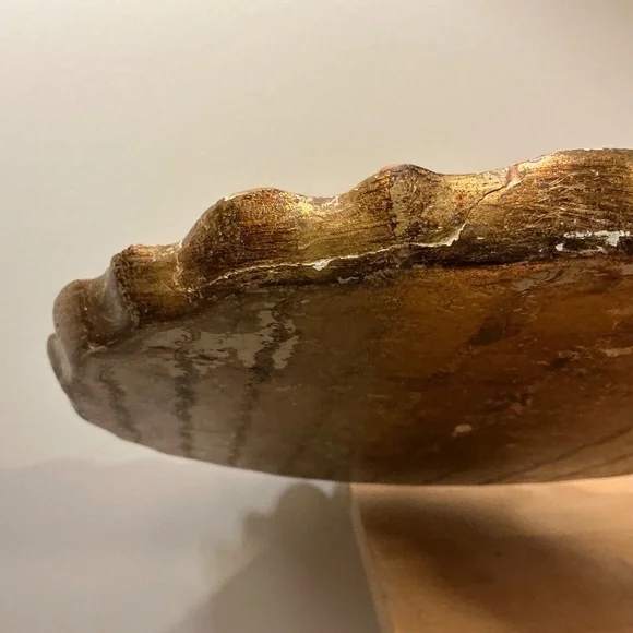 Vintage Florentine Tray Blue Green tones, Gold 12 inches diameter - Picture 4 of 5